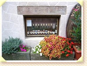 Lon Beck bouteilles des vins | Grand Cru Frankstein | Vins Fins d'Alsace | Dambach-la-Ville | Alsace